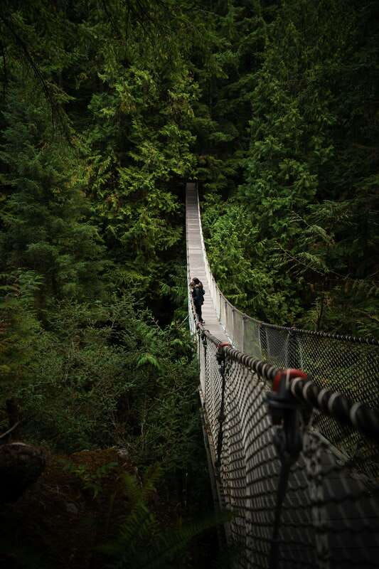 vancouver-guided-hiking-highlights-at-grouse-lynn-canyon