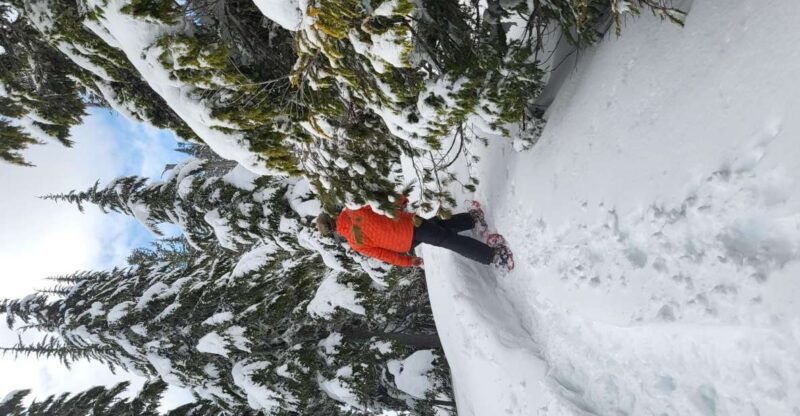 vancouver-island-snowshoeing-and-sauna-tour