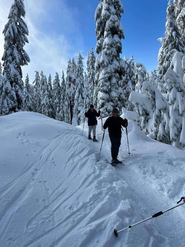 vancouver-north-shore-mountains-snowshoeing-with-transfer