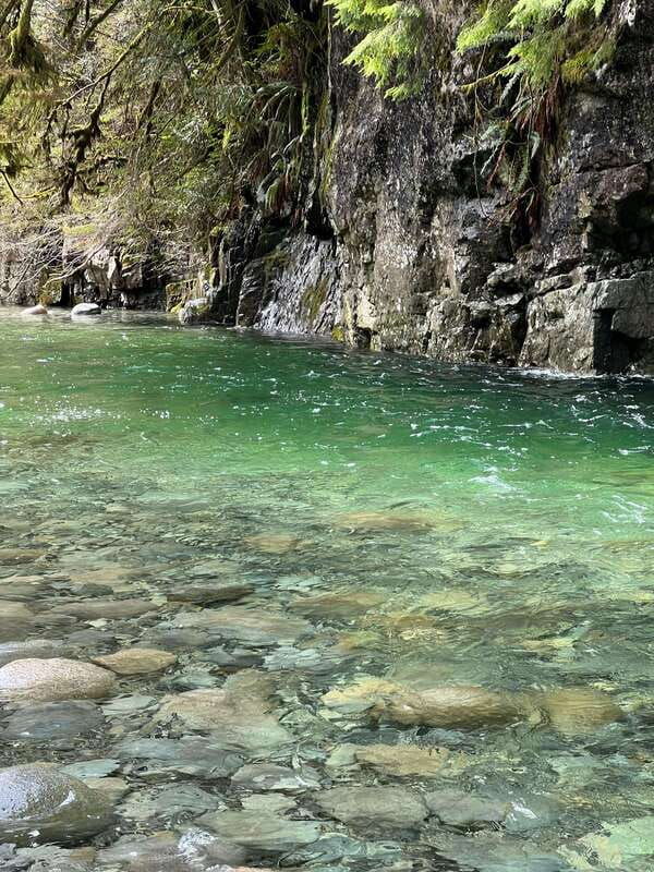 vancouver-rainforest-waterfall-hike-and-suspension-bridge