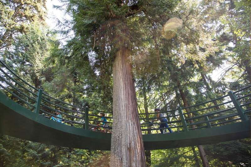 vancouver-stanley-park-bicycle-tour