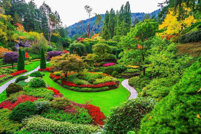 victoria-driving-tour-w-malahat-skywalk-butchart-gardens