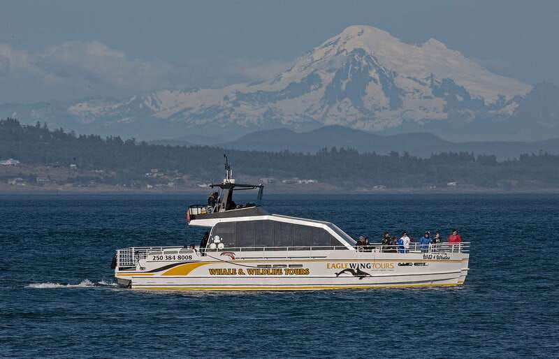 victoria-sunset-whale-watching-tour-on-semi-covered-boat