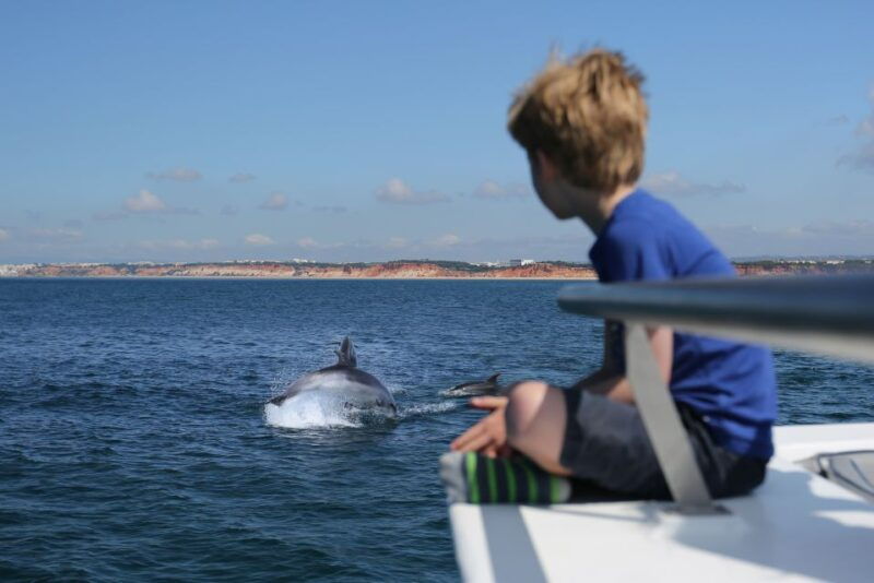 vilamoura-boat-tour-dolphin-quest