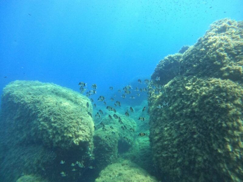 villasimius-scuba-dive-in-capo-carbona-without-certificate