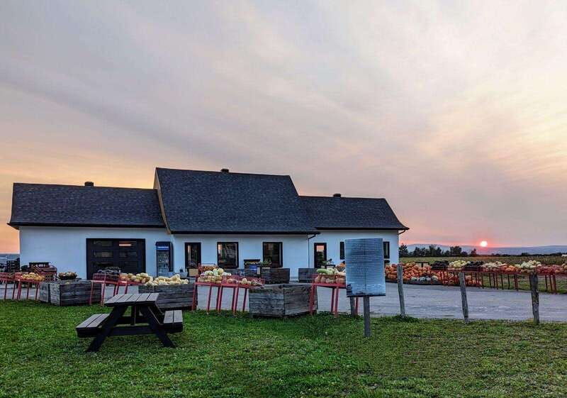 vip-agritourism-tour-of-ile-dorleans-montmorency-fall