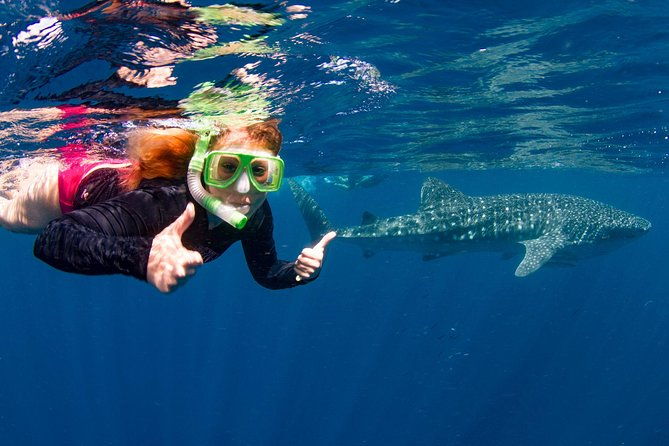 VIP luxury chartered escapes, exploring the reef at your own pace - Final Thoughts
