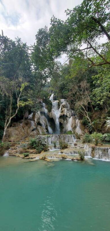 visit-buffalo-farm-cooking-class-forest-kuang-si-waterfall