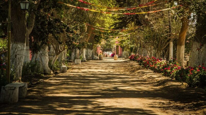 visit-to-the-tacama-winery-wine-and-pisco-tasting