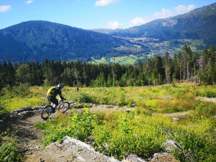 voss-mountain-bike-bomoem-forest