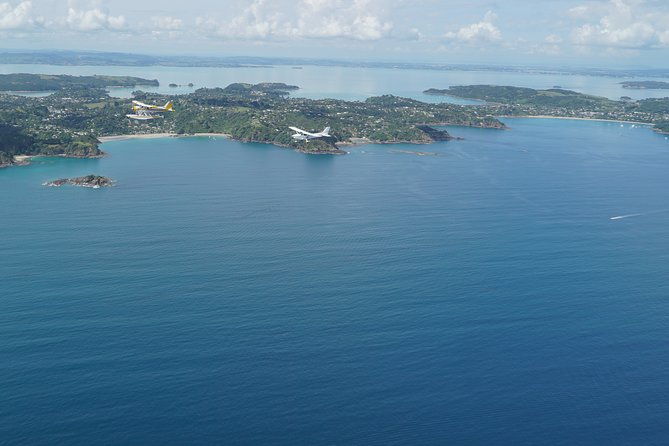 Waiheke Island - Fly and Dine (from North Shore Airport) - Why Travelers Love This Tour