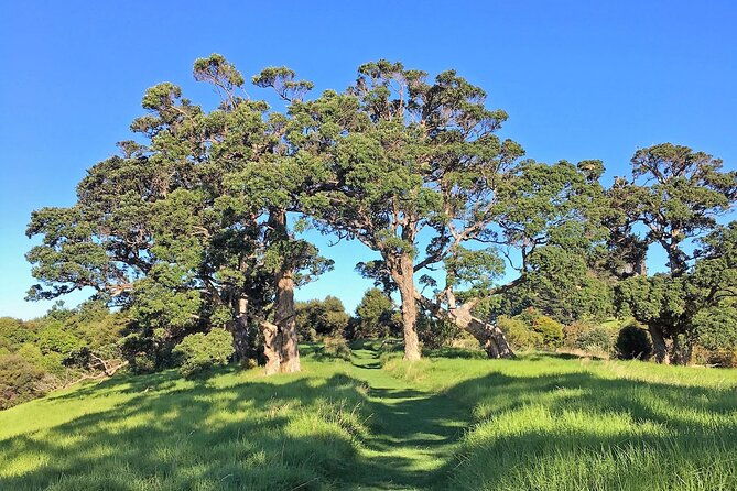 Waiheke Island Private Bush and Beach Walk - FAQs