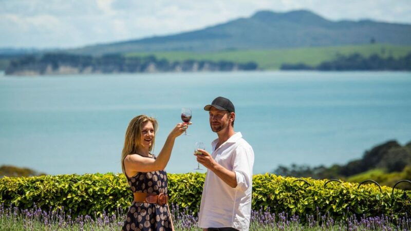 waiheke-island-the-essence-of-waiheke-wine-tour