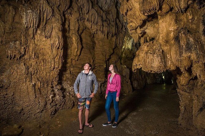 Waitomo Caves & Hobbiton Small Group Tour from Auckland - Returning to Auckland with Secret Stops