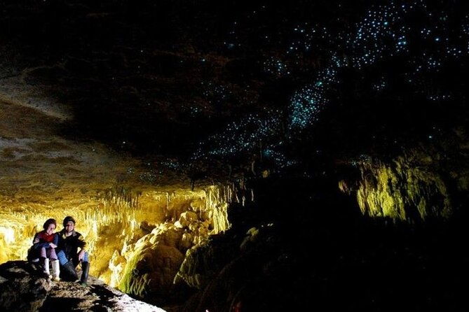 Waitomo Glowworm Caves and Auckland City Tour a Day Trip - Who Should Consider This Tour?
