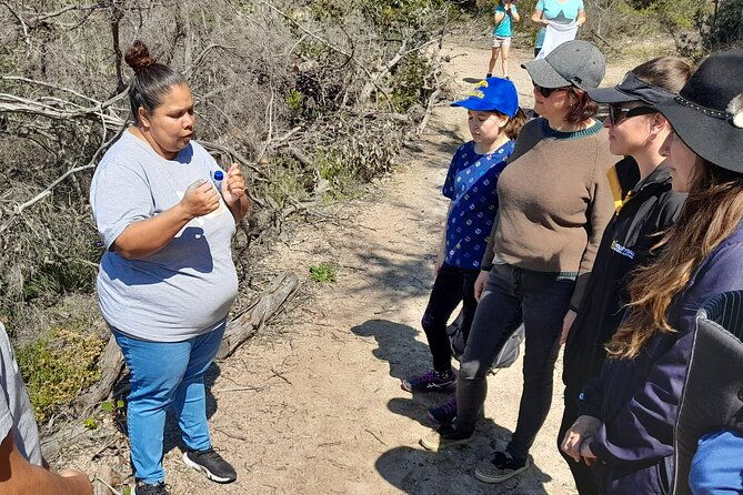 Walk on Country at Taananeditj (Rotary Lookout) - The Bush Tucker and Its Cultural Significance
