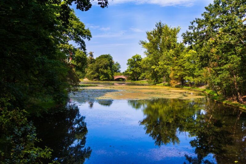 warsaw-private-wilanow-palace-garden-tour