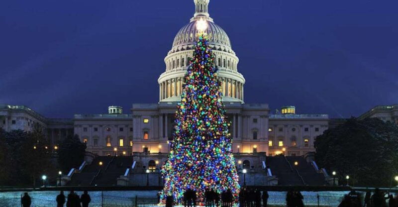 washington-dc-national-mall-and-memorials-moonlight-tour