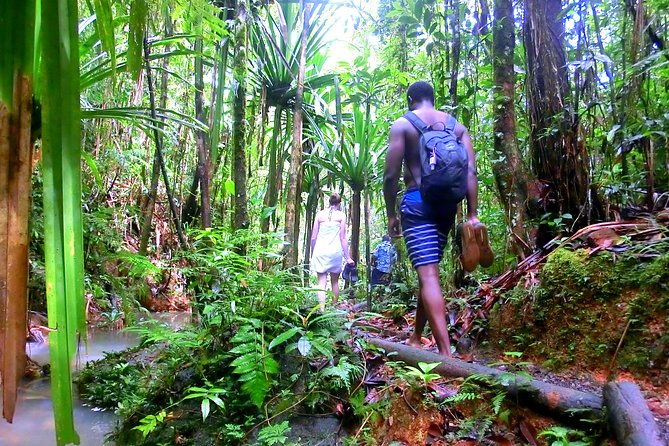 Waterfalls and Nature Tour - Exploring the Details of the Waterfalls and Nature Tour