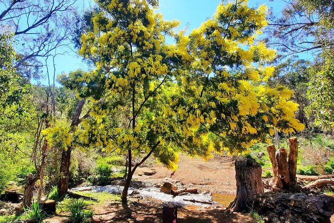 Waterfalls, Wildflowers & Wandoo Hiking Experience - FAQs