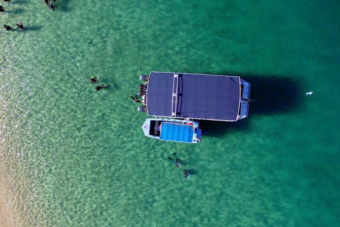 Wave Break Island Snorkel Tour on the Gold Coast - Practical Tips for Your Snorkeling Day