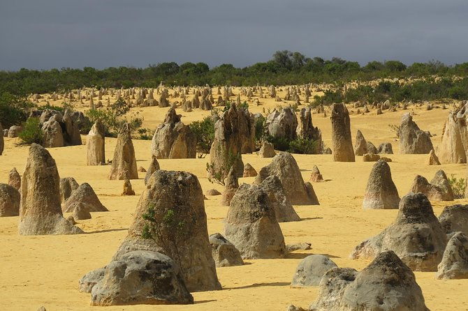Wave Rock and Pinnacles Air & Ground Tour - Who Will Love This Tour?