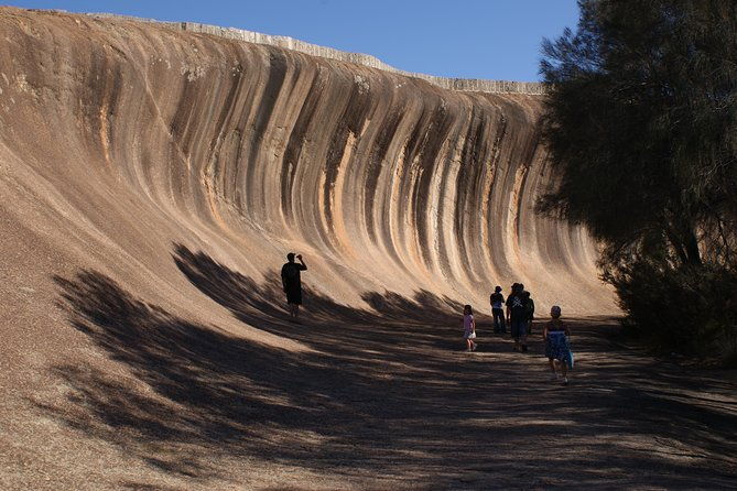 Wave Rock, Pinnacles and Rottnest One Day Aeroplane Tour - The Itinerary in Detail