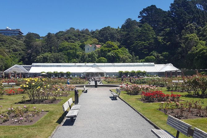 Wellington Shore Excursion: From Cave to Coast Highlights Private Tour - Who Should Consider This Tour?