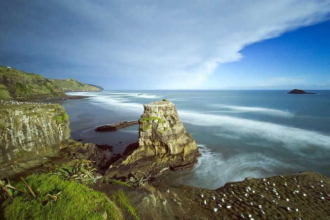 West Coast Discovery - Piha Beach or Muriwai Beach from Auckland - The Authentic Experiences: What Travelers Are Saying