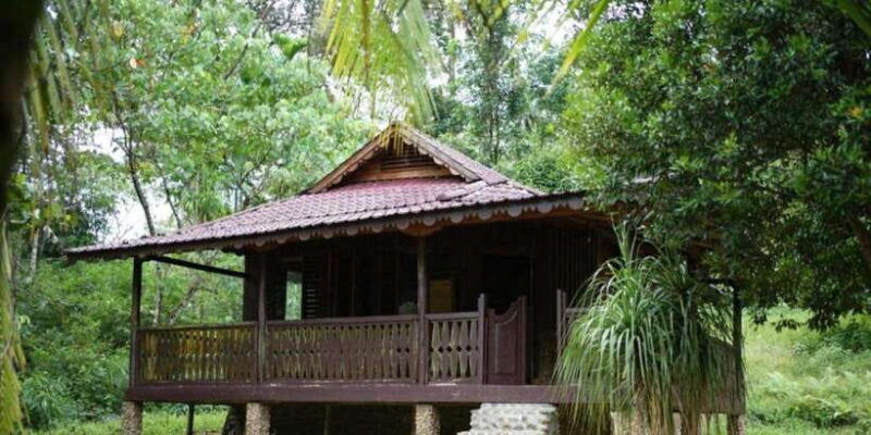 wild-orangutan-trek-2-day-adventure-in-gunung-leuser-park