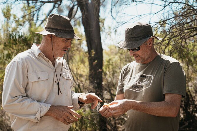 Wild Yarnbala - Why You Should Consider This Tour