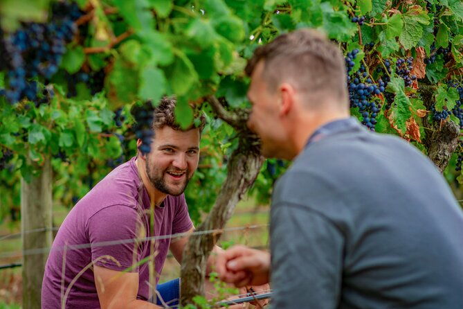 Wine Tasting and a house-made Bellarine Estate Charcuterie platter - Authenticity and Unique Touches