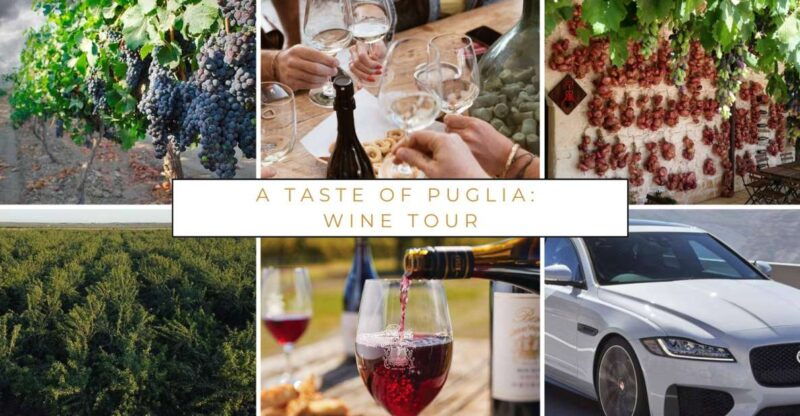 wine-tasting-experience-in-the-apulian-countryside
