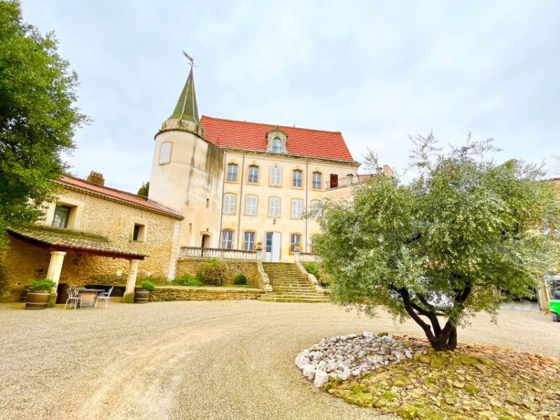 wine-tasting-in-chateauneuf-du-pape