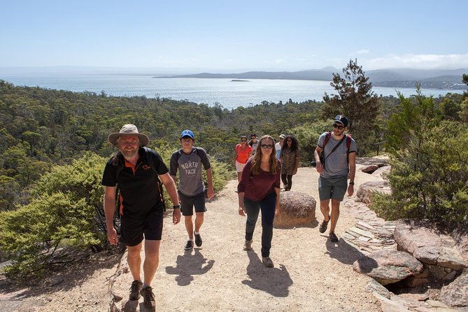 Wineglass Bay Beach Hike Active day tour - Analyzing the Value: Is It Worth the Cost?