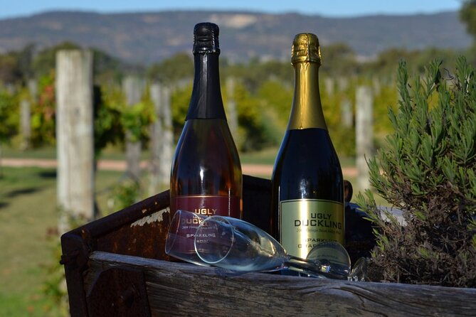Wineries Bus Tours - Practical Tips for Making the Most of the Tour