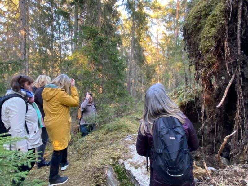 wolf-and-wildlife-tracking-in-sweden-2