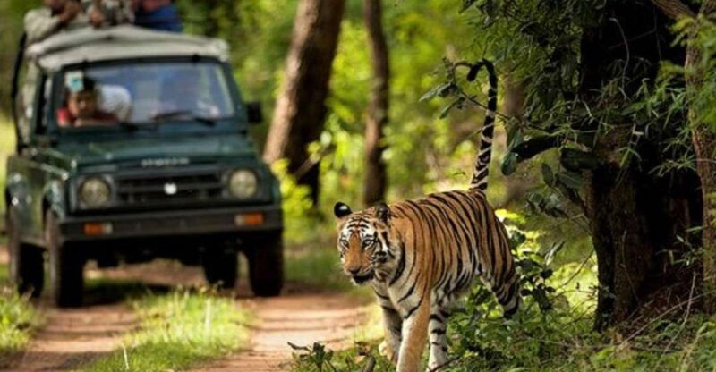 wonders-of-wildlife-4-day-chitwan-national-park-tour