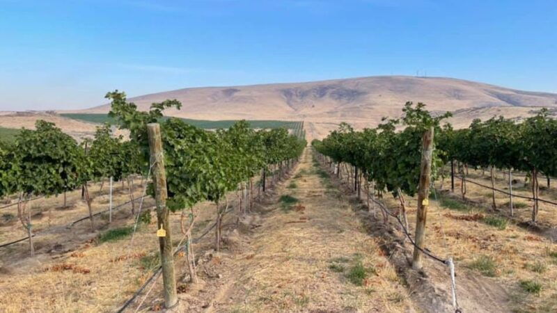 woodinville-wine-country-warehouse-district-wine-pass