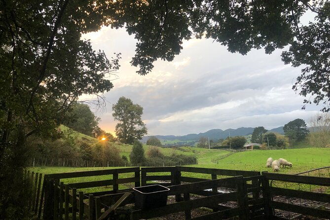 Wool Sheep Farm Experience with Handmade Wool Hat in New Zealand - The Authenticity and Educational Value