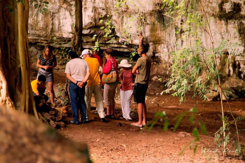 xkopek-mayan-bees-tour-and-honey-tasting-in-valladolid