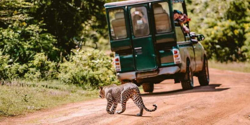 yala-national-park-full-day-safari-tour-from-colombo