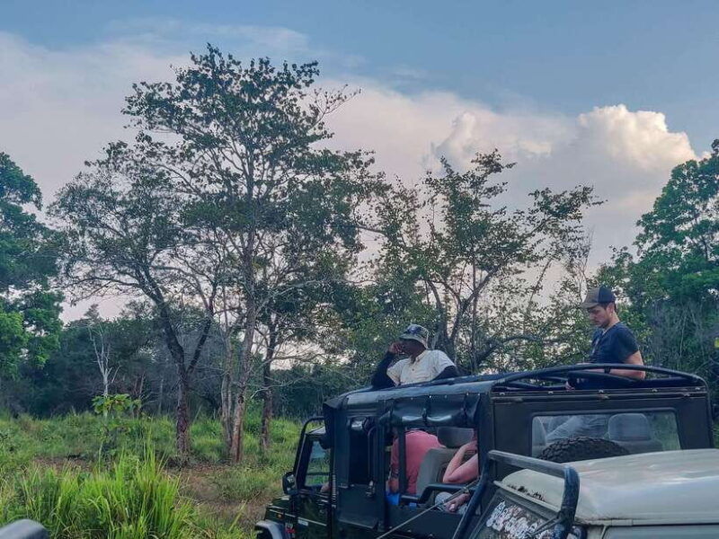 yala-national-park-private-safari-from-ella