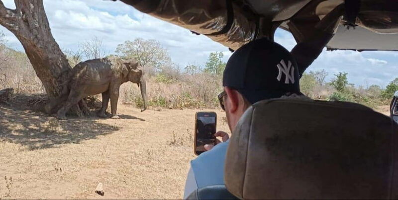 yala-national-park-safari-tour-from-colombo-galle