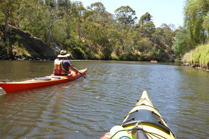 Yarra River Kayak Hire - Who Will Love This Experience?
