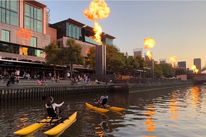 Yarra River Twilight Waterbike Tour - The Value of the Experience