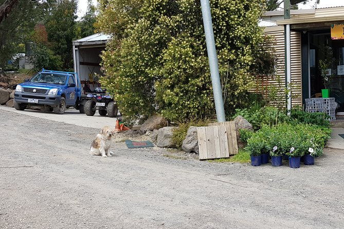 Yarra Valley Wineries and Rayners Orchard Tour from Melbourne - Insights from Reviews and Guides