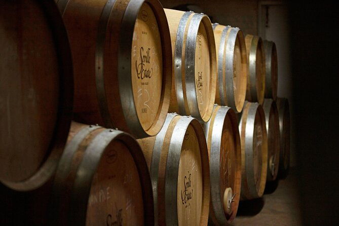 Yarra Valley Wineries Private Day Tour - The Experience: Comfort, Knowledge, and Authenticity