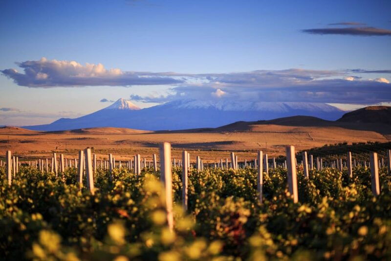 yerevan-khor-virap-day-trip-with-mount-ararat-wine-tasting