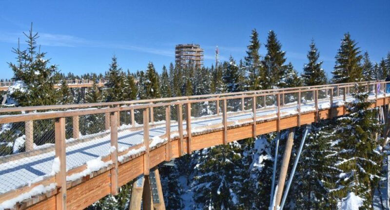 zakopane-bachledka-treetop-walk-and-strbske-pleso-tour